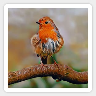 Beautiful Robin Sticker